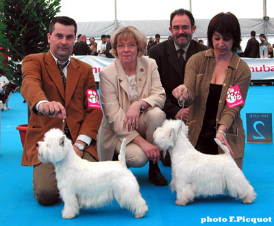 BOB CAC CACIB Pale Moonlight de Champernoune, CAC CACIB Alborada Aristokrat