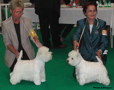 CACIB BOB Yougman of Jeryco, CACIB BOS Osmose de la Robiniere