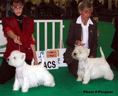 CAC Ouanadoo du Clan des Hamilton, RCAC Zoe of Westerlyhills