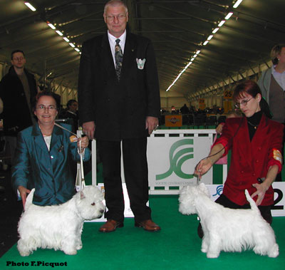 CACIB Osmose de la Robiniere, CAC RCACIB Ouanandoo du Clan des Hamilton