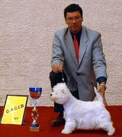 CACIB BOB Arnricann Red Jack Line
