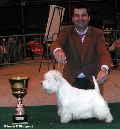 CAC Alborada Aristokrat