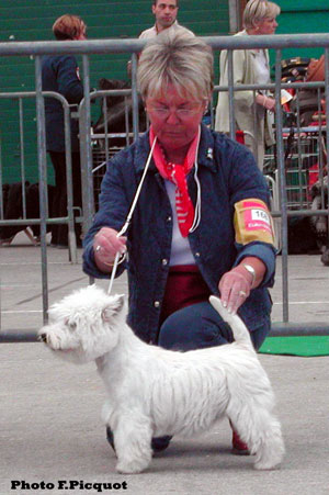 Arthur of Jerycho