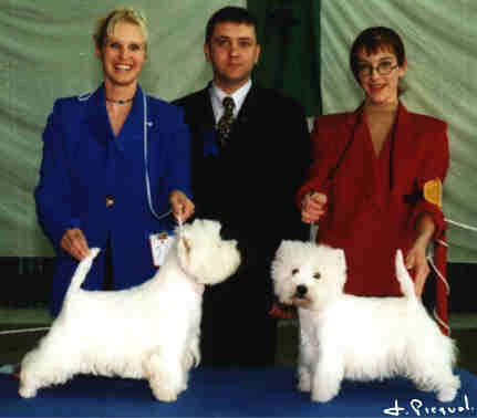 CAC CACIB BOB Charise's White Bam-Bam, CACIB Ch Ouanadoo du Clan des Hamilton