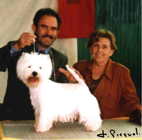 CAC BOB Alborada Gran Senor