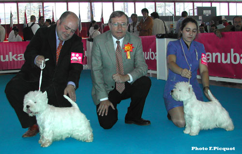 CAC CACIB Jesusito de Mi Vida de Cinoteca Nono, CAC CACIB BOB Rebac's Runing to Chelsea