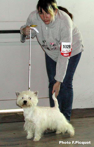 Titeuf de Babalou