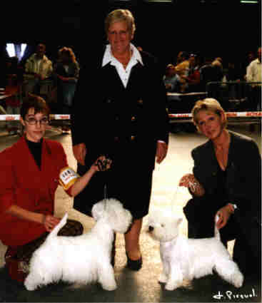 CACIB BOB Ch. Lord's Wain Major Thompson, Pretty des Falaises d'Albatre