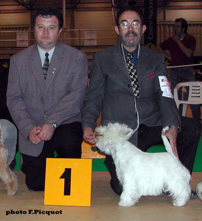 BOG CACIB CAC Allborada Gran Senor