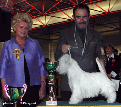 BOG BOB CACIB CAC Allborada Gran Senor