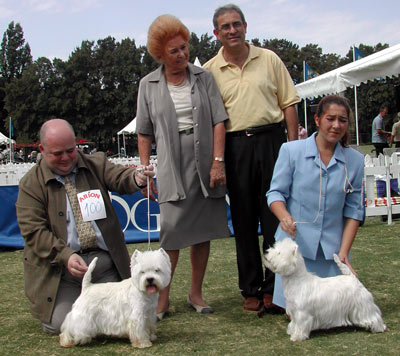 BOB Ch. Jesusito de Mi Vida de Cinoteca Nono, BOS Ch. Rebac's Runing to Chelsea 
