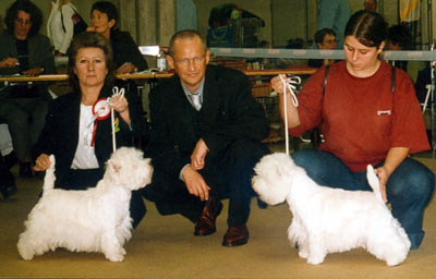 Usche and Zantana of White Channel, photo Michiels