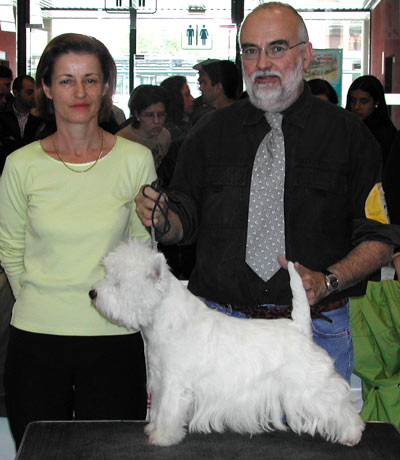 CAC CACIB Ch. Lord's Wain Major Thompson