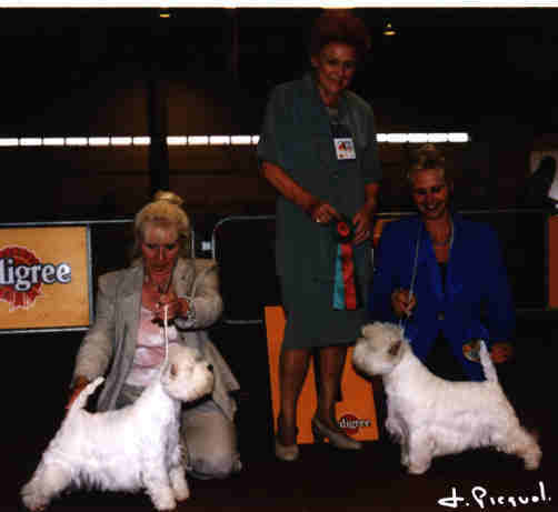 Photo CACIB BOB Charise's White Bam-Bam and CACIB Caithness Petticoat Lane