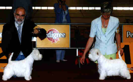 1reRCAC-QC(right)Ariostea priscilla,2me(left)Punchy baby du clan des hamilton