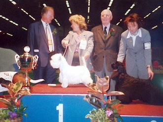 CAC CACIB BOB BOG BIS Zantana of White Channel