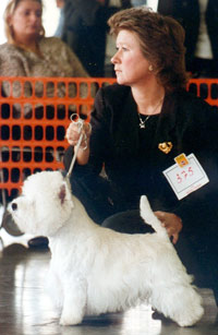 Zantana of White Channel, photo Charleroi 2002